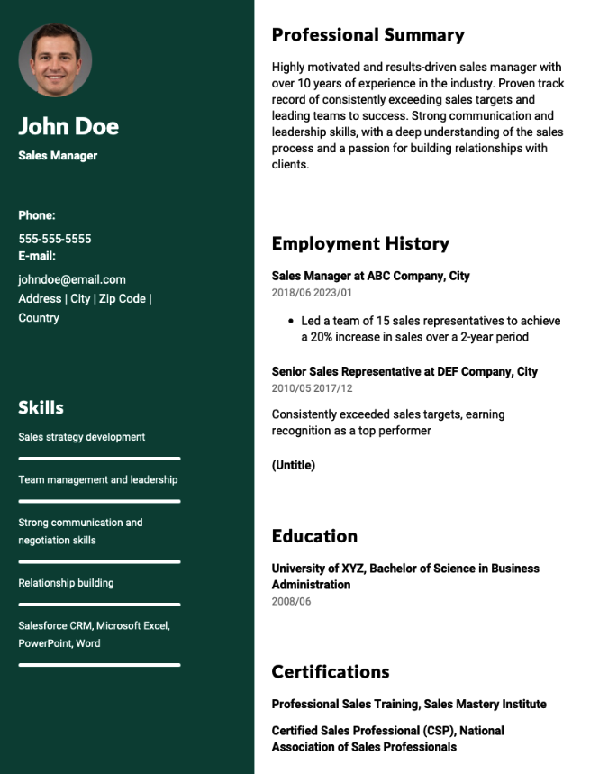 Sales Manager Resume Example